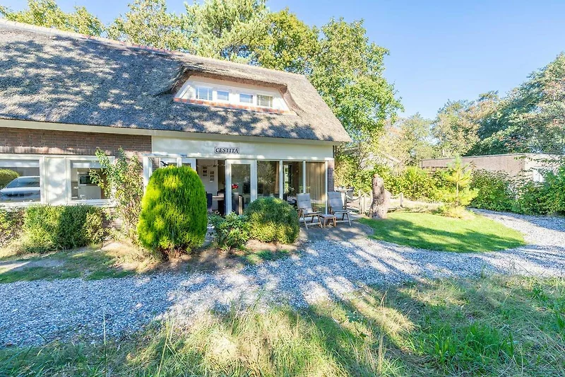 Außenseite Ferienhaus (Sommer)