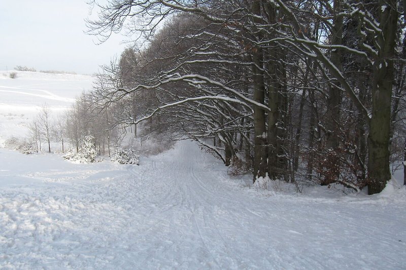 Okolica (zima) (1-5 km)