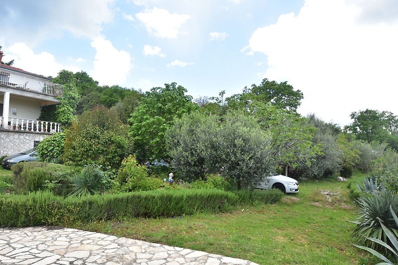 Ogród (lato)