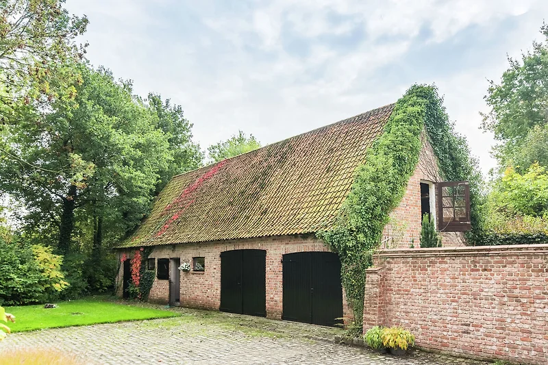 Außenseite Ferienhaus (Sommer)