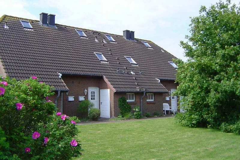 Außenseite Ferienhaus (Sommer)