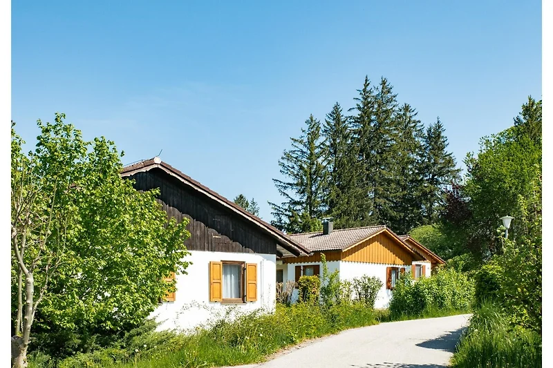 Esterno casa vacanze (estate)