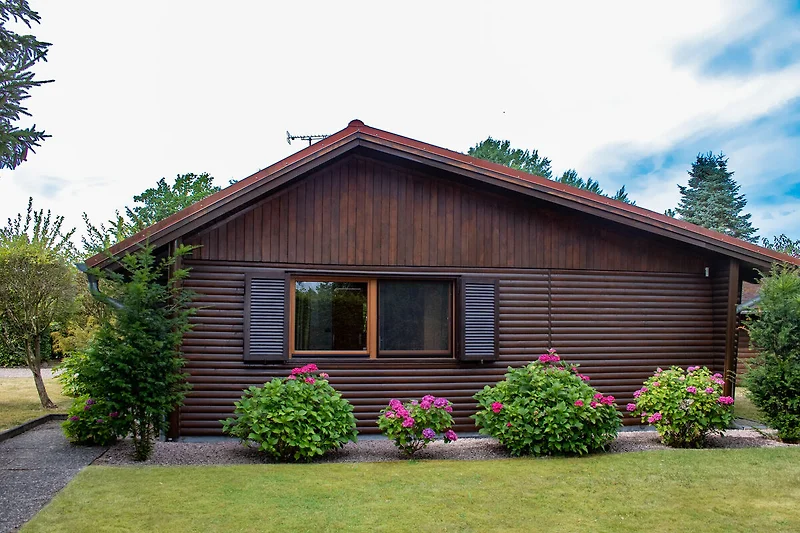 Außenseite Ferienhaus (Sommer)