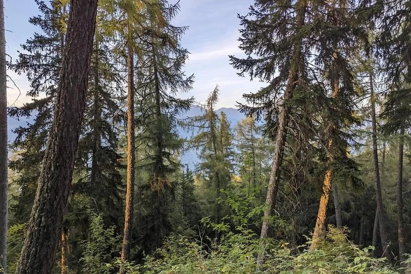 Umgebung (Sommer) (1-5 km)