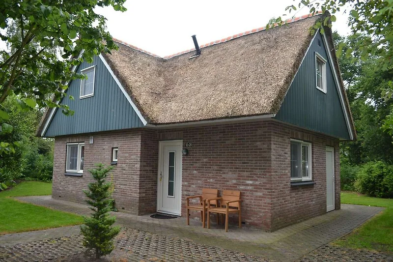 Exterieur vakantiehuis (zomer)