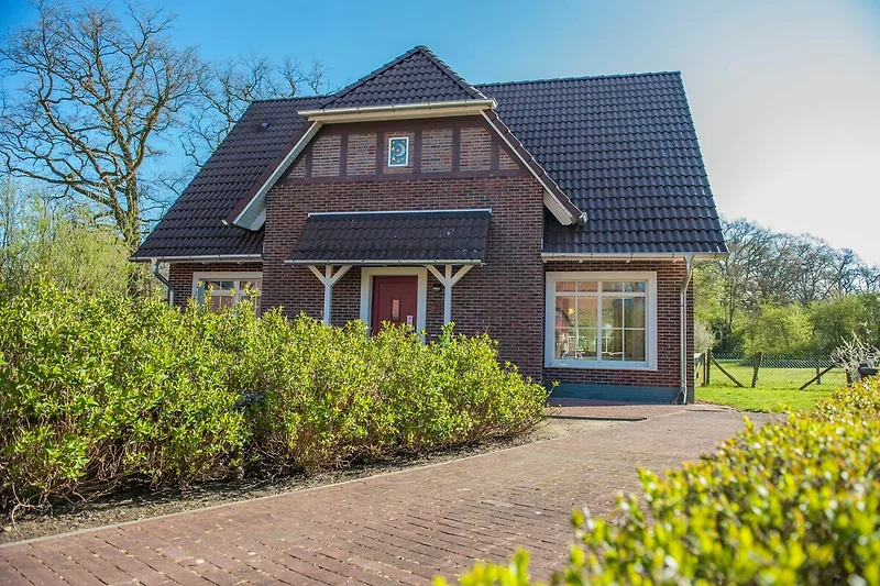 Exterieur vakantiehuis (zomer)