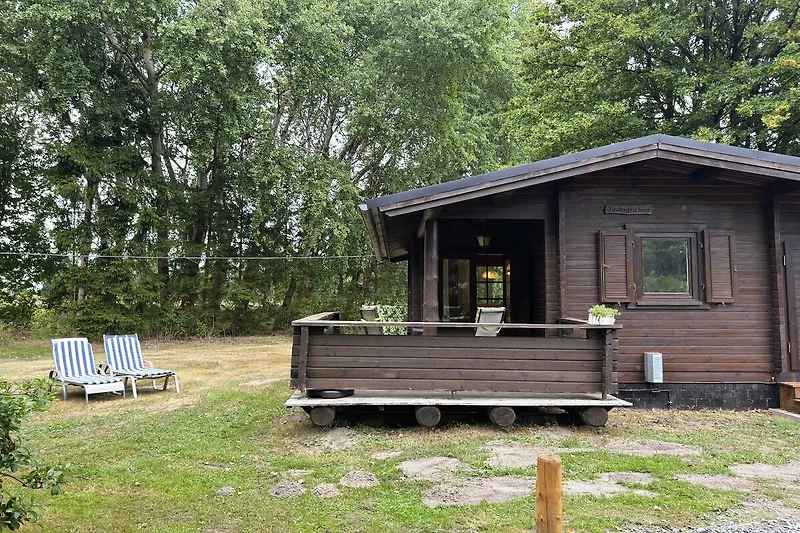 Esterno casa vacanze (estate)
