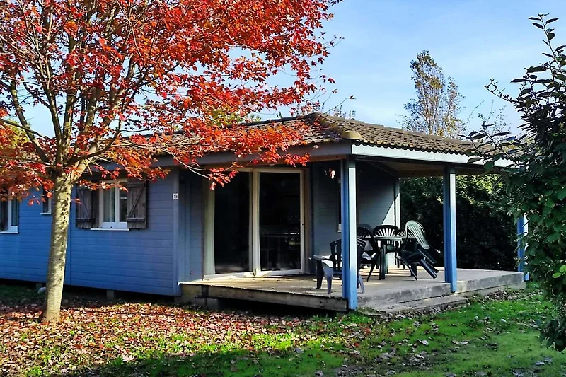 Außenseite Ferienhaus (Sommer)