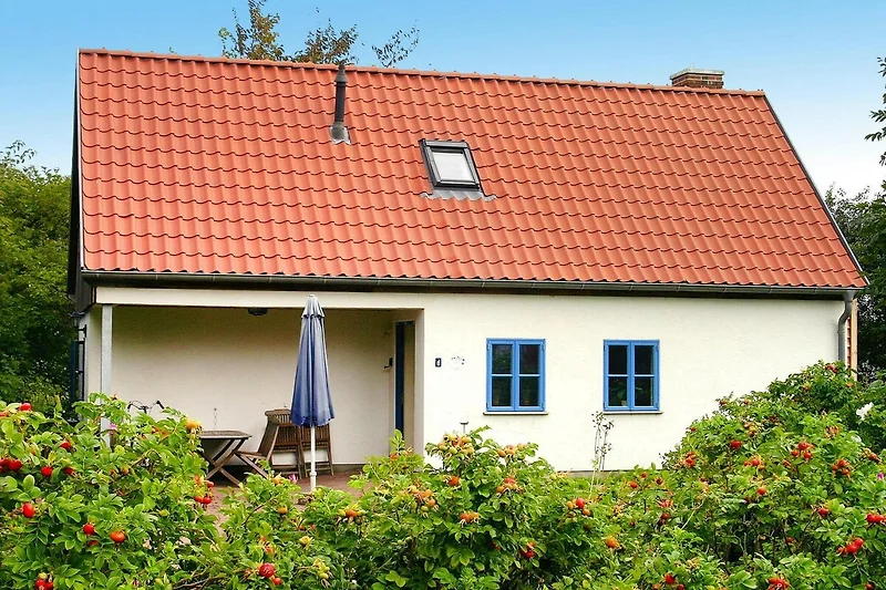 Außenseite Ferienhaus (Sommer)