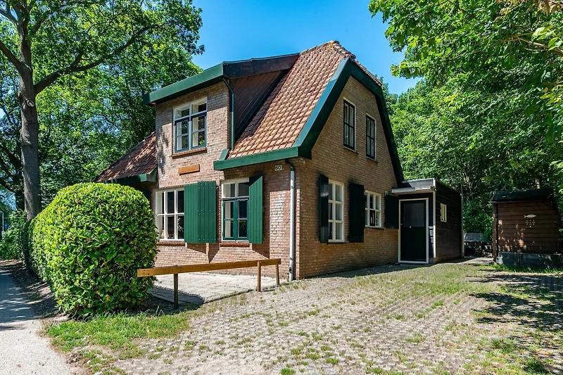 Außenseite Ferienhaus (Sommer)