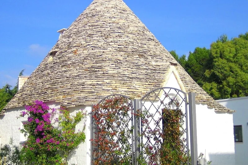Außenseite Ferienhaus (Sommer)