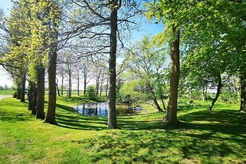 Direkte Umgebung (Sommer) (<1 km)