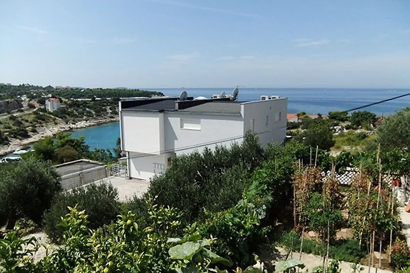 Exterieur vakantiehuis (zomer)