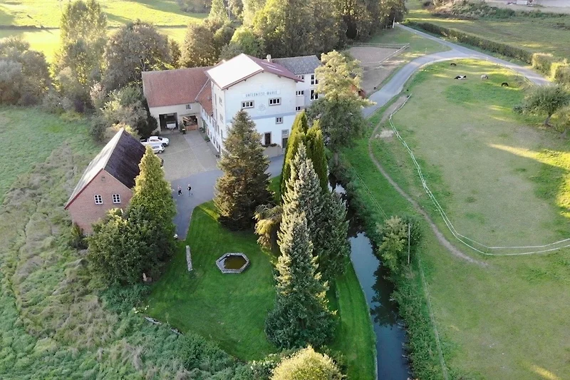 Außenseite Ferienhaus (Sommer)