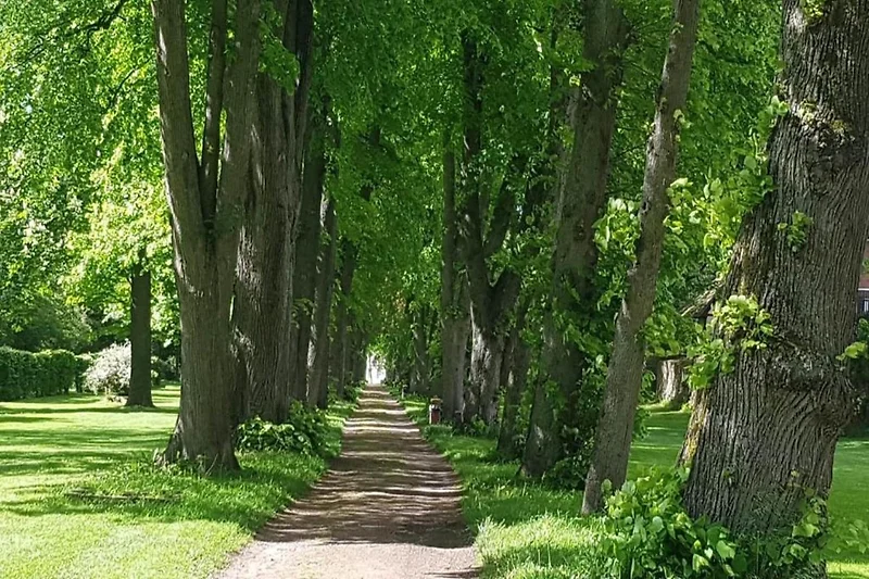 Omgeving (zomer) (1-5 km)