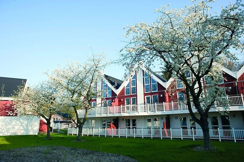 Exterieur vakantiehuis (zomer)