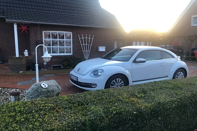 Ausstattung und Service des Ferienparks