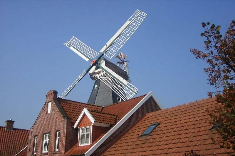 Exterieur vakantiehuis (zomer)