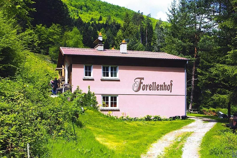 Exterieur vakantiehuis (zomer)