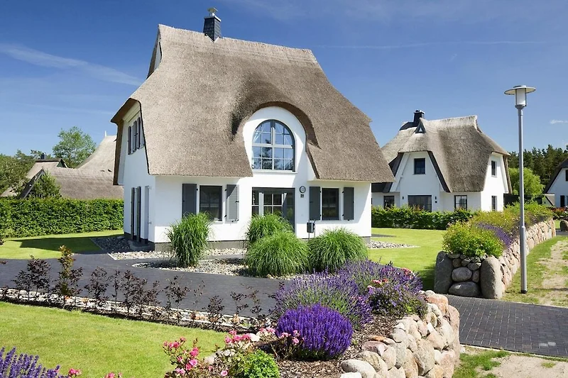 Außenseite Ferienhaus (Sommer)