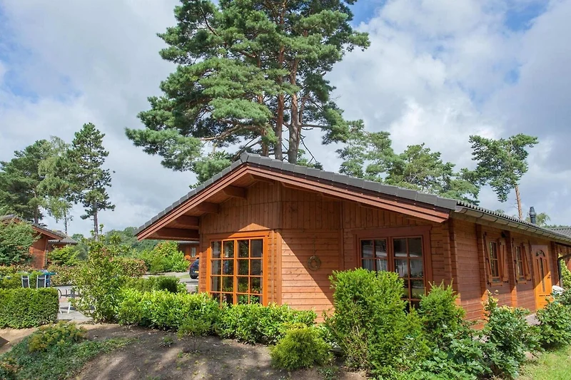 Außenseite Ferienhaus (Sommer)