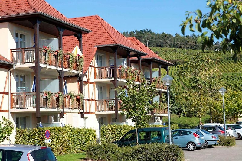 Außenseite Ferienhaus (Sommer)