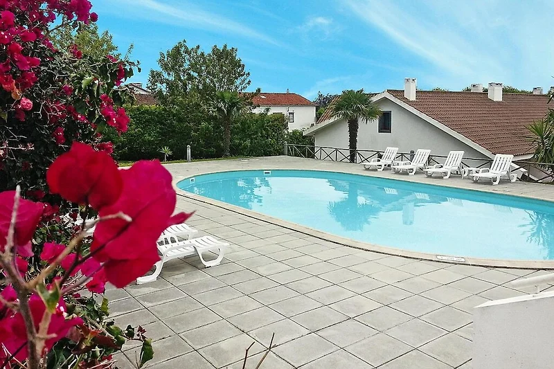Schwimmbad des Ferienhauses