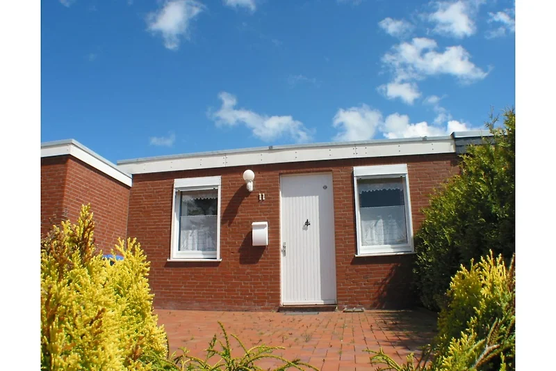 Außenseite Ferienhaus (Sommer)