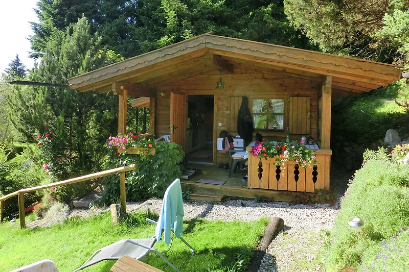Exterieur vakantiehuis (zomer)