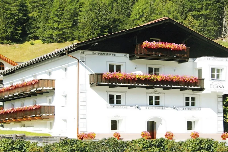 Außenseite Ferienhaus (Sommer)