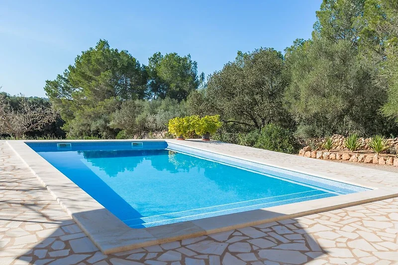 Piscina casa vacanze