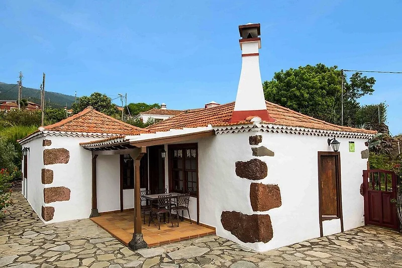 Exterieur vakantiehuis (zomer)