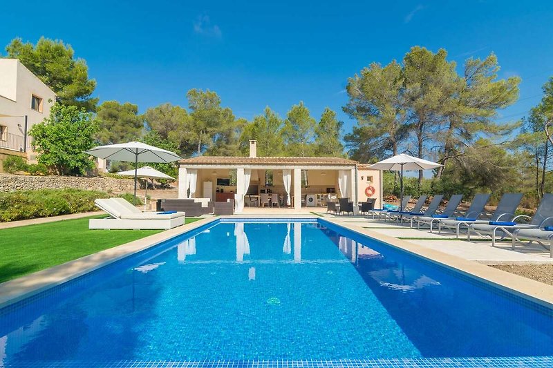 Exterieur vakantiehuis (zomer)
