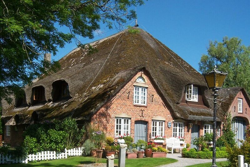 Exterieur vakantiehuis (zomer)