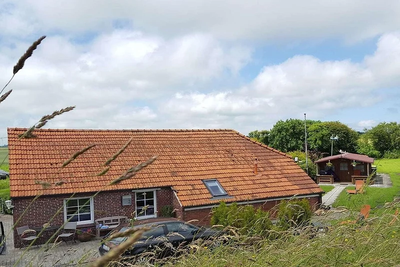 Außenseite Ferienhaus (Sommer)