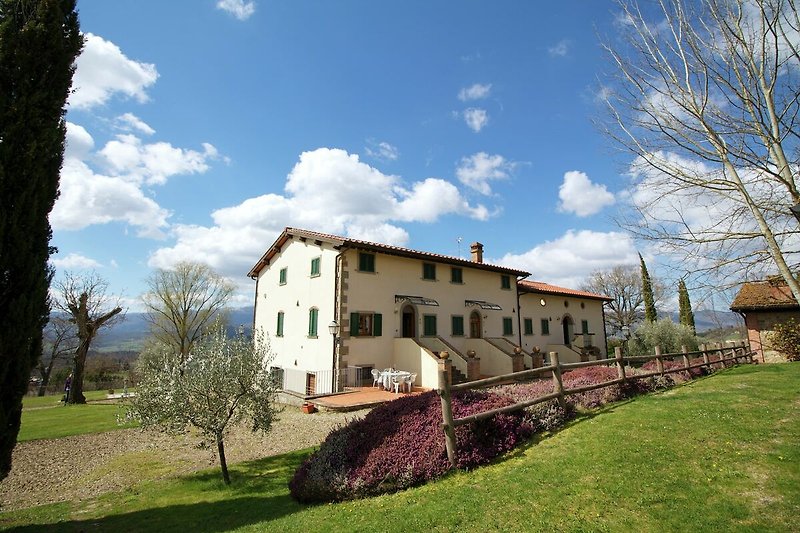 Außenseite Ferienhaus (Sommer)