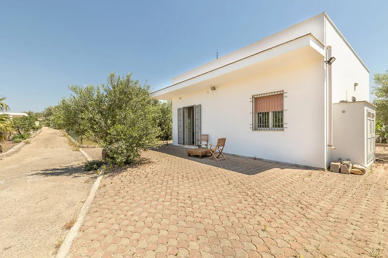 Exterieur vakantiehuis (zomer)