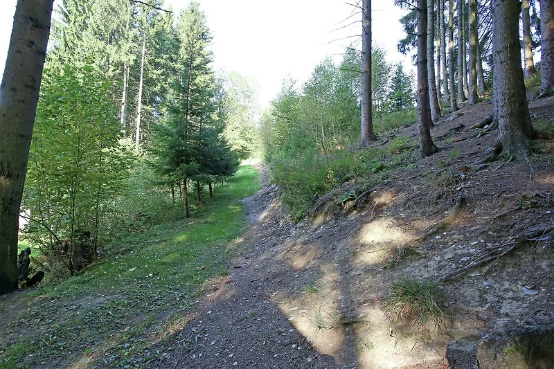 In prossimitá (estate) (<1 km)