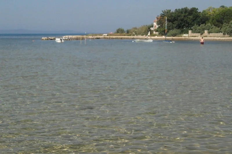 Ambiente / Nahaufnahme