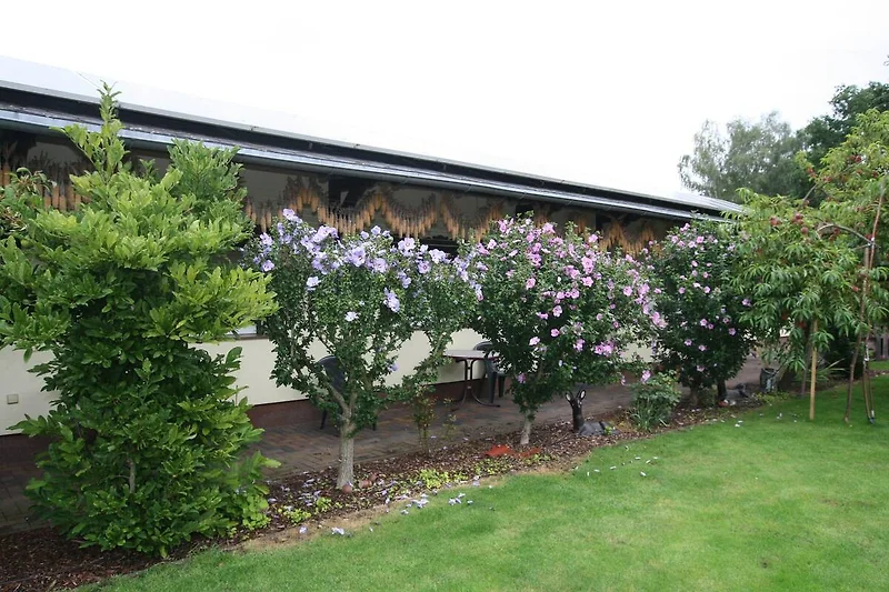 Außenseite Ferienhaus (Sommer)