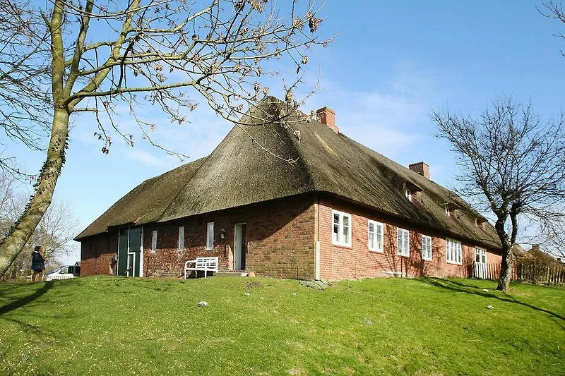 Außenseite Ferienhaus (Sommer)