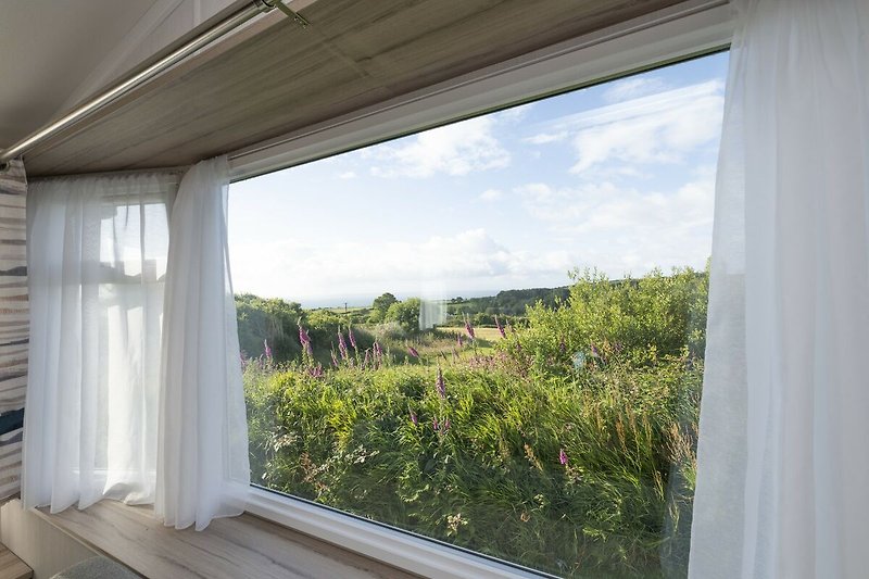 Aussicht vom Ferienhaus (Sommer)