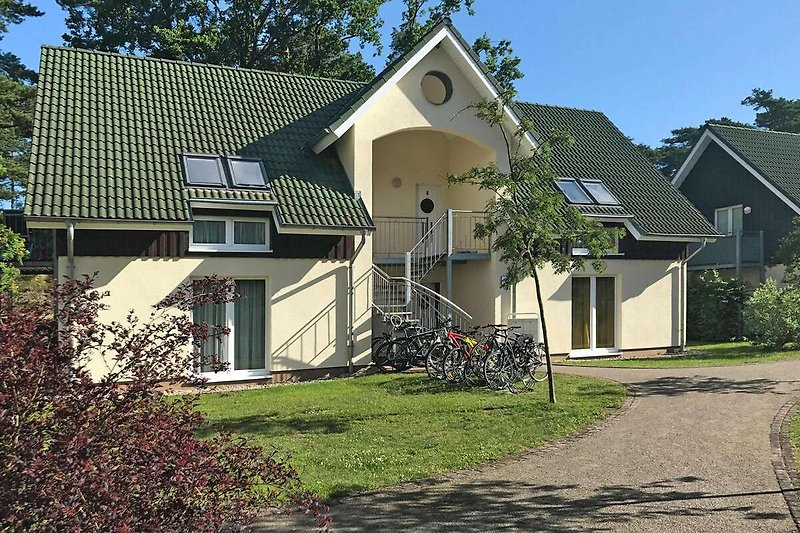 Exterieur vakantiehuis (zomer)