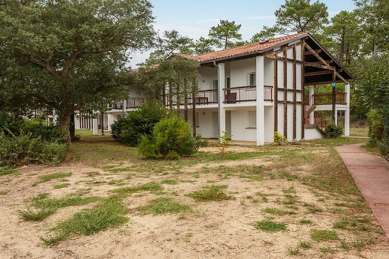 Außenseite Ferienhaus (Sommer)