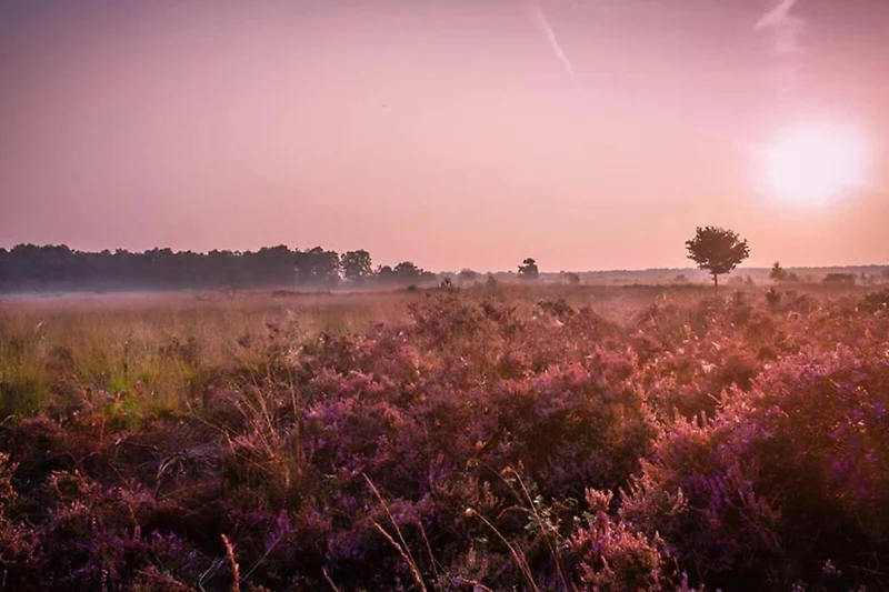 In der Region (Sommer) (>5 km)