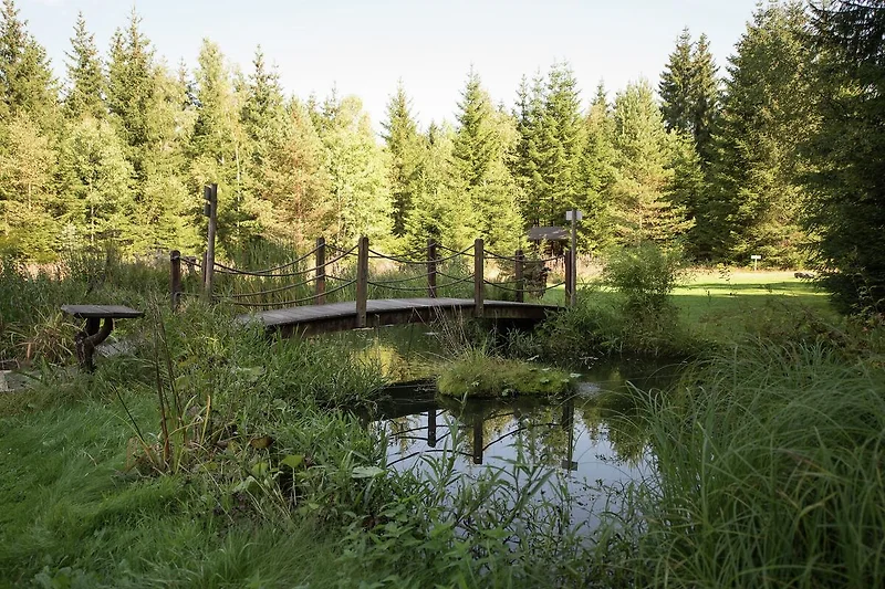 Direkte Umgebung (Sommer) (<1 km)