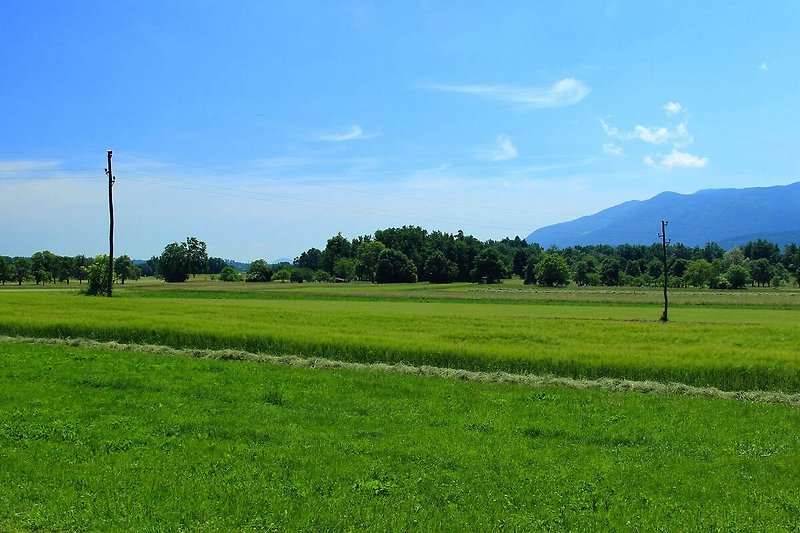 Umgebung (Sommer) (1-5 km)
