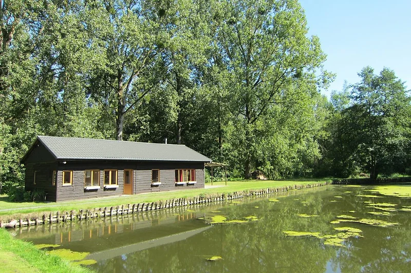 Esterno casa vacanze (estate)