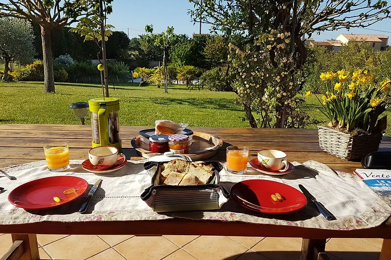 Terrasse / Balkon