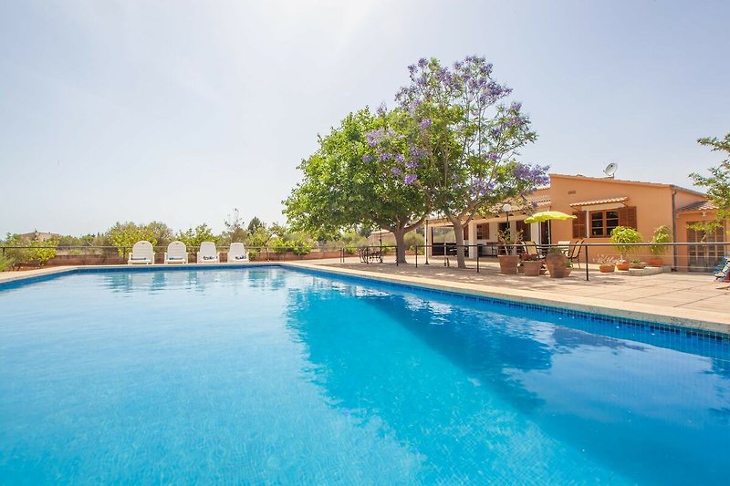 Schwimmbad des Ferienhauses